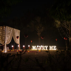 the proposal canopy