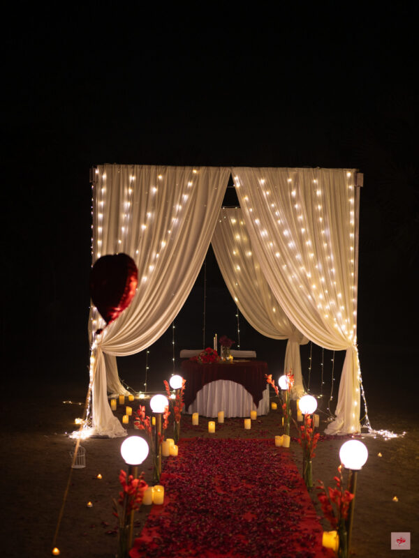the proposal canopy
