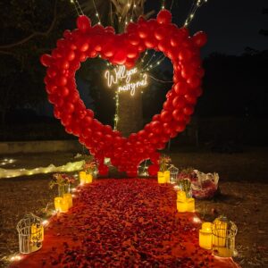 Candle light dinner